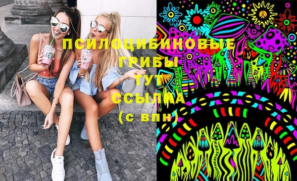 бошки Алексеевка