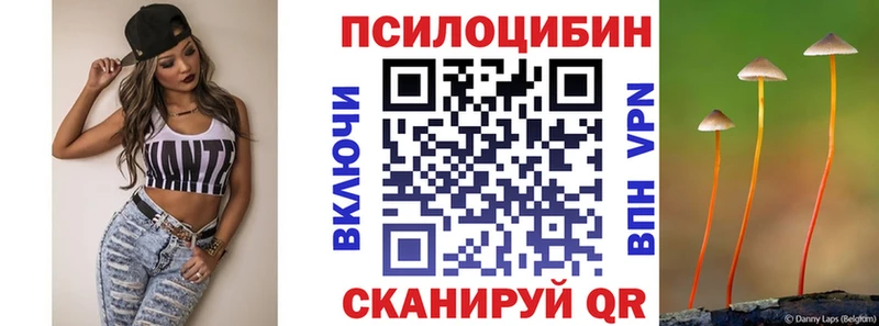Галлюциногенные грибы Psilocybe  наркотики  дарк нет наркотические препараты  Инсар 